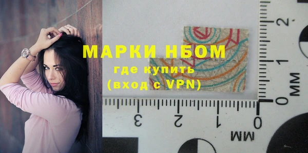 индика Зерноград