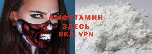 мет Инсар