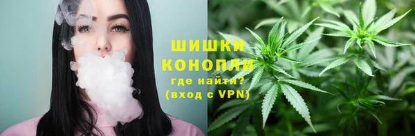 мет Инсар