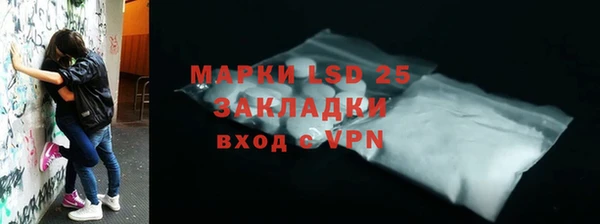 мет Инсар