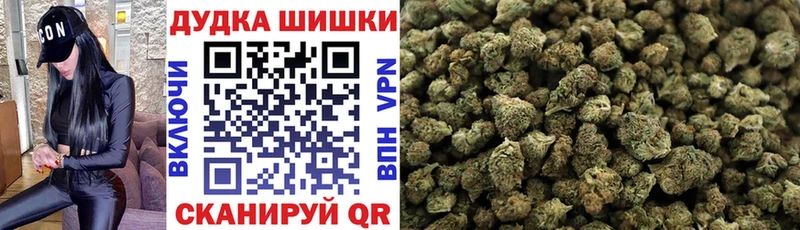Купить закладки  Нефтекумск  Бошки Шишки SATIVA & INDICA 